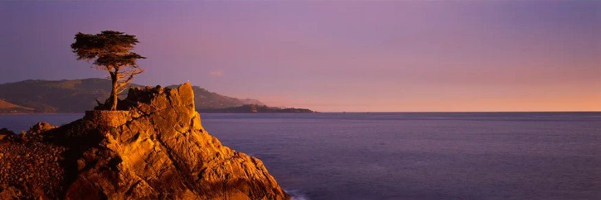 Lone Cypress Golden Sunset Panorama - Marcus Ashley Gallery - Marcus Ashley Gallery